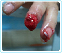 bevictor伟德官网-韦德官方网站