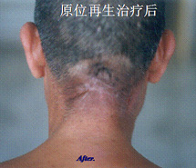 bevictor伟德官网-韦德官方网站