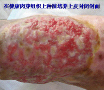 bevictor伟德官网-韦德官方网站