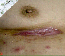 bevictor伟德官网-韦德官方网站