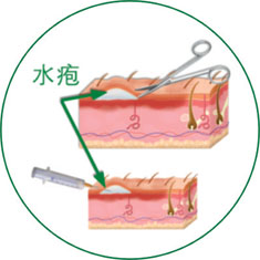 bevictor伟德官网-韦德官方网站