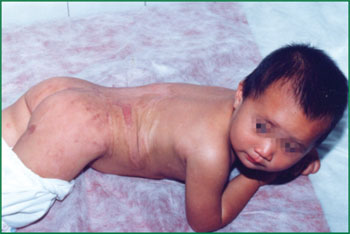 bevictor伟德官网-韦德官方网站