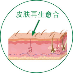 bevictor伟德官网-韦德官方网站