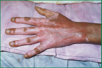 bevictor伟德官网-韦德官方网站