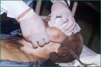 bevictor伟德官网-韦德官方网站