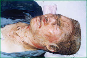 bevictor伟德官网-韦德官方网站