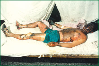 bevictor伟德官网-韦德官方网站