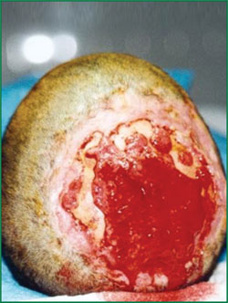 bevictor伟德官网-韦德官方网站