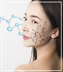 bevictor伟德官网-韦德官方网站