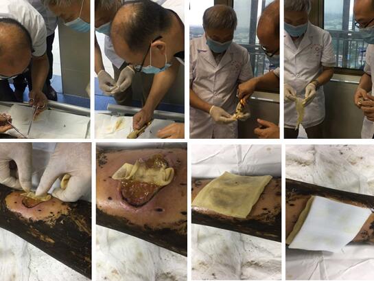 bevictor伟德官网-韦德官方网站