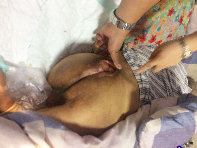 bevictor伟德官网-韦德官方网站