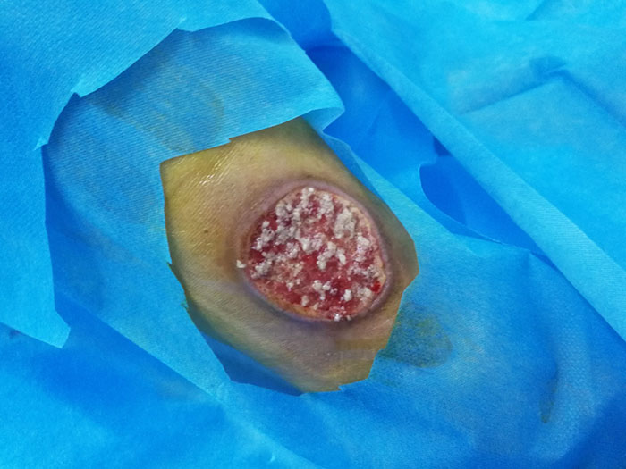 bevictor伟德官网-韦德官方网站