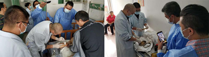 bevictor伟德官网-韦德官方网站