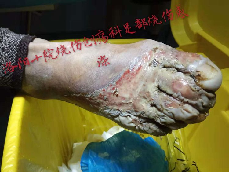 bevictor伟德官网-韦德官方网站