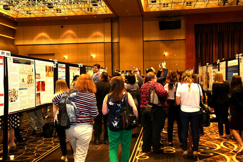 bevictor伟德官网-韦德官方网站