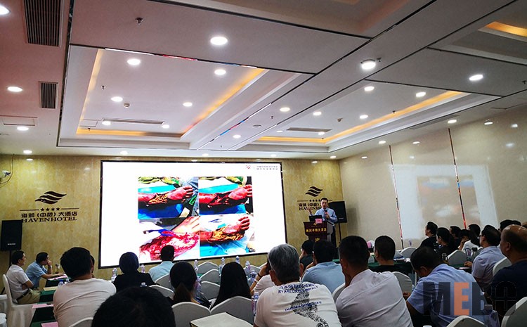 bevictor伟德官网-韦德官方网站