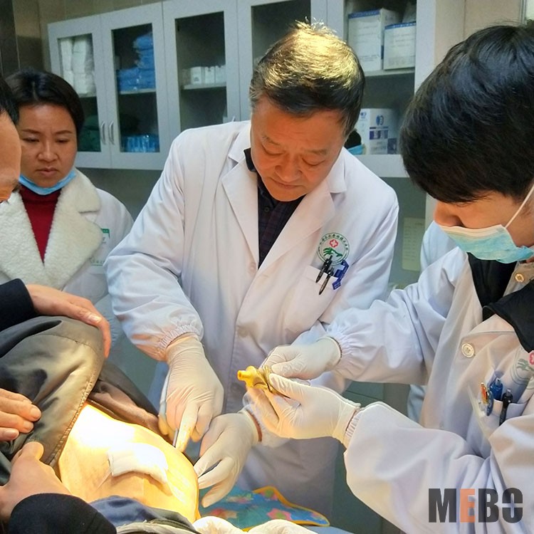 bevictor伟德官网-韦德官方网站