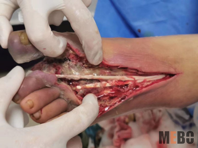 bevictor伟德官网-韦德官方网站