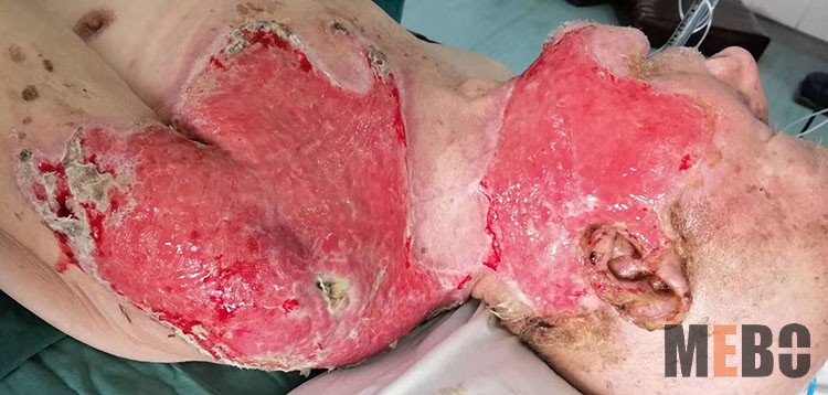 bevictor伟德官网-韦德官方网站