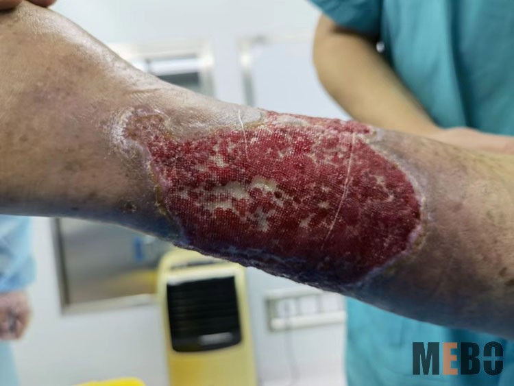 bevictor伟德官网-韦德官方网站