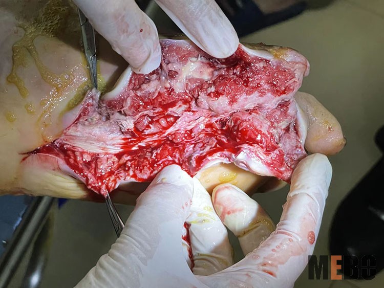 bevictor伟德官网-韦德官方网站