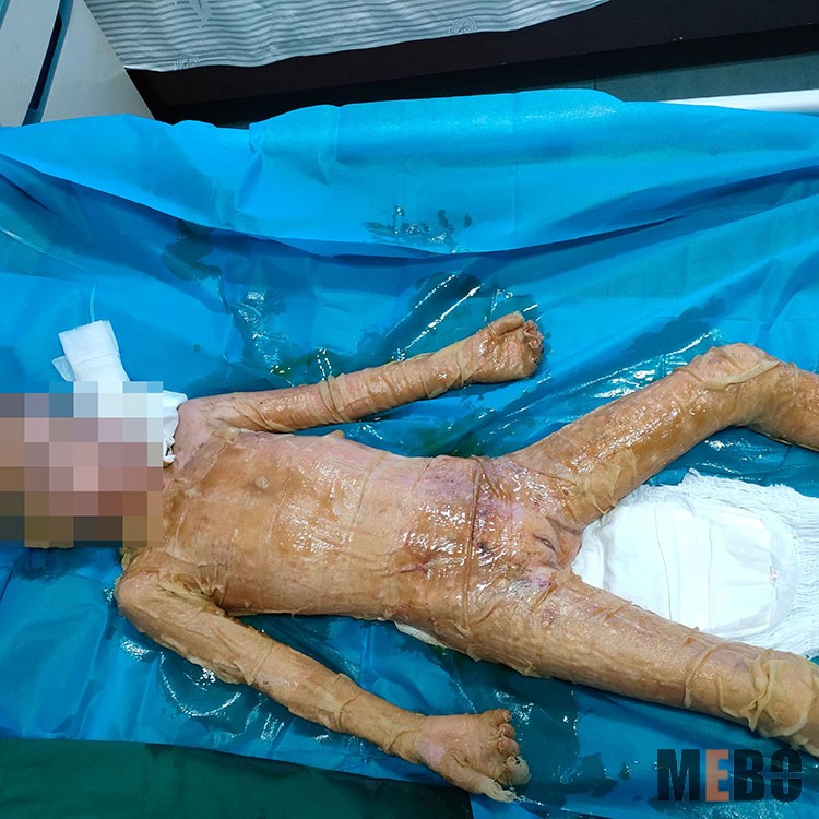 bevictor伟德官网-韦德官方网站