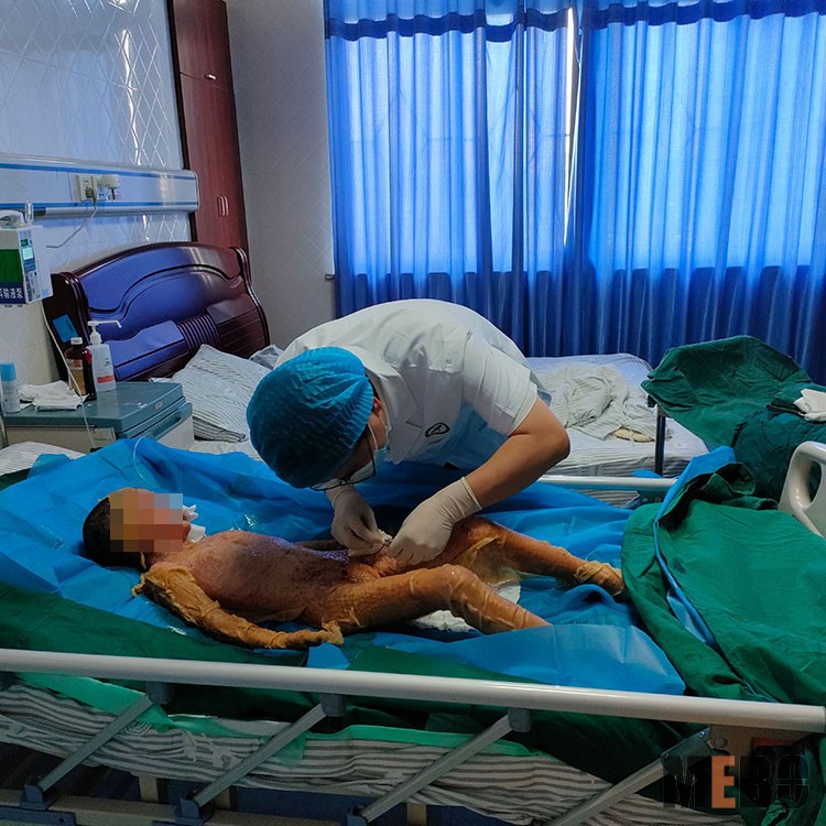 bevictor伟德官网-韦德官方网站