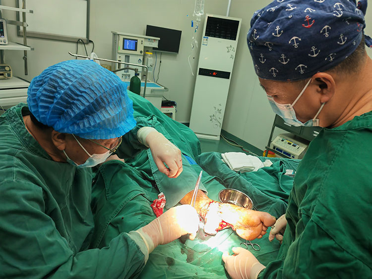 bevictor伟德官网-韦德官方网站