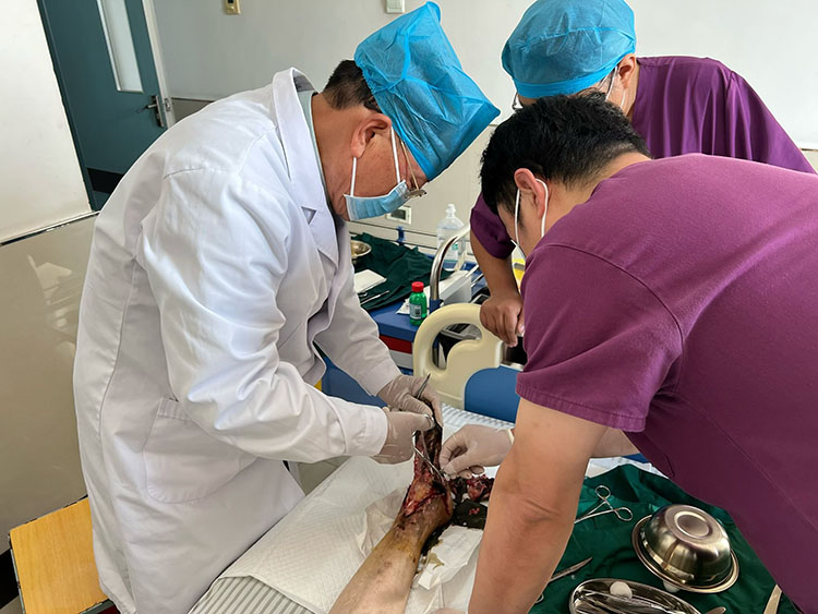 bevictor伟德官网-韦德官方网站