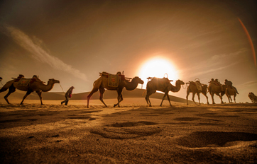 bevictor伟德国际 “一带一起”建议培训平台