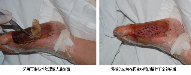 bevictor伟德官网-韦德官方网站