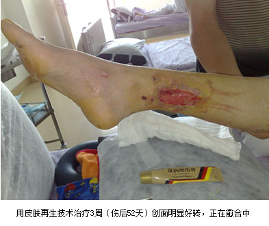 bevictor伟德官网-韦德官方网站