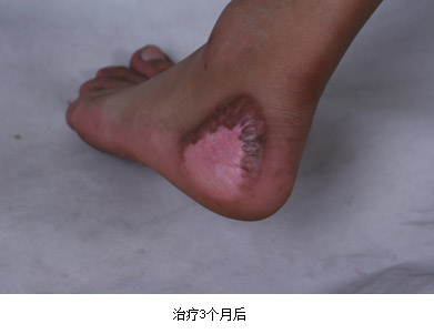 bevictor伟德官网-韦德官方网站