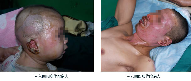 bevictor伟德官网-韦德官方网站