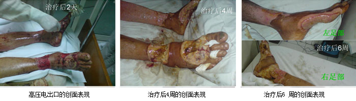 bevictor伟德官网-韦德官方网站