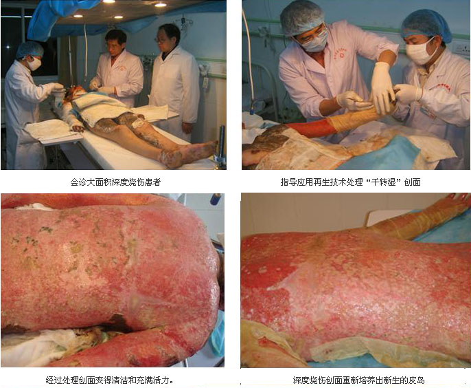 bevictor伟德官网-韦德官方网站