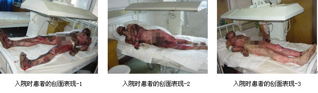 bevictor伟德官网-韦德官方网站