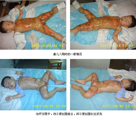 bevictor伟德官网-韦德官方网站