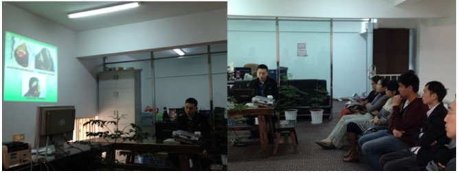 bevictor伟德官网-韦德官方网站