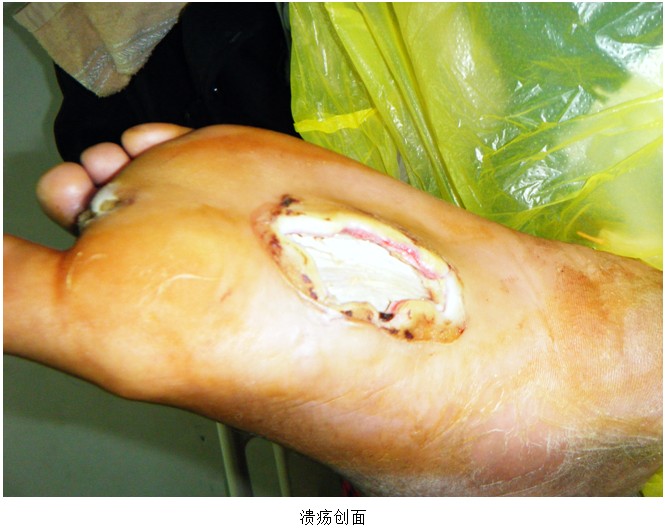 bevictor伟德官网-韦德官方网站