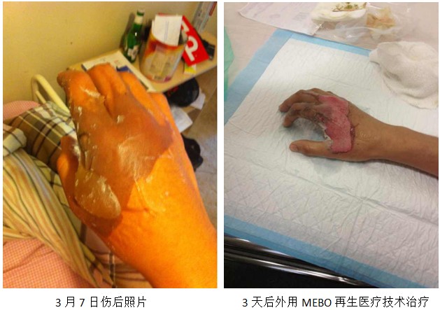 bevictor伟德官网-韦德官方网站