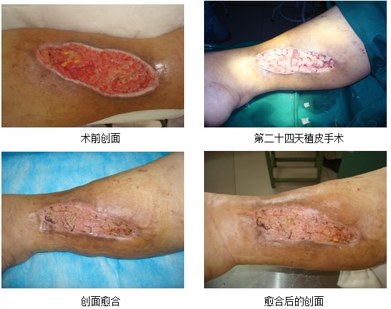 bevictor伟德官网-韦德官方网站