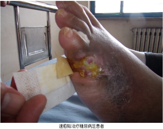 bevictor伟德官网-韦德官方网站