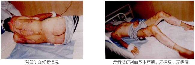 bevictor伟德官网-韦德官方网站