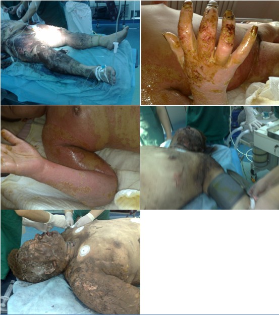 bevictor伟德官网-韦德官方网站