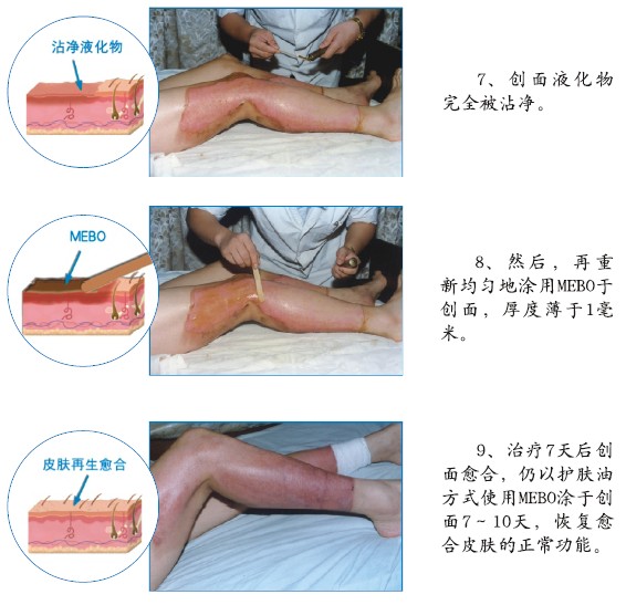 bevictor伟德官网-韦德官方网站