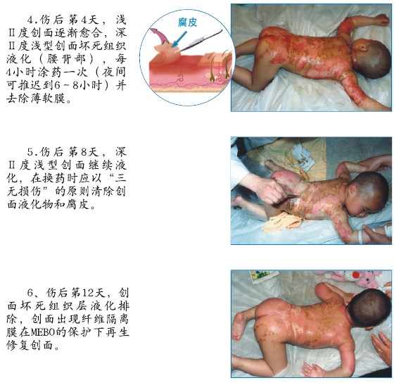 bevictor伟德官网-韦德官方网站