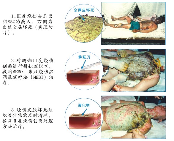 bevictor伟德官网-韦德官方网站