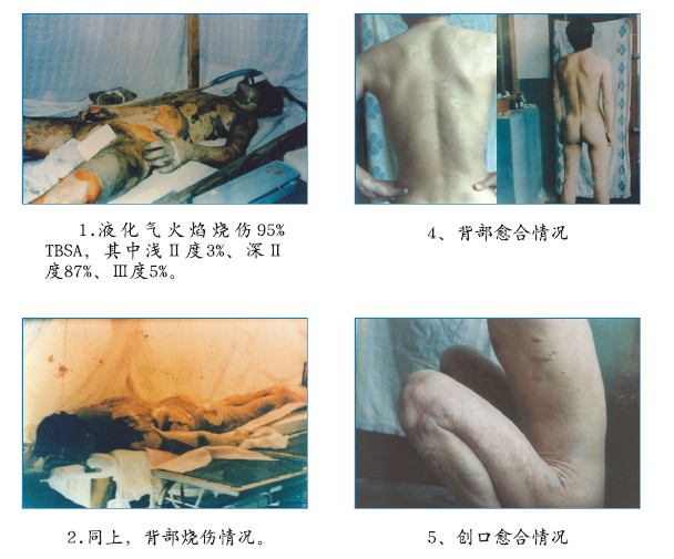 bevictor伟德官网-韦德官方网站