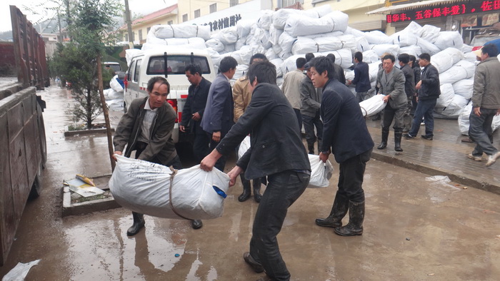 bevictor伟德官网-韦德官方网站